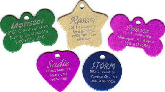 Picture of pet tags